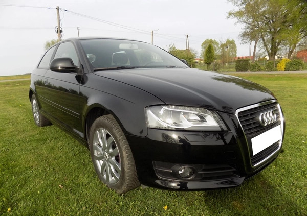 Audi A3 cena 20900 przebieg: 154000, rok produkcji 2009 z Szprotawa małe 497